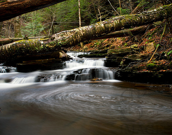 Unnamed, Ricketts Glen