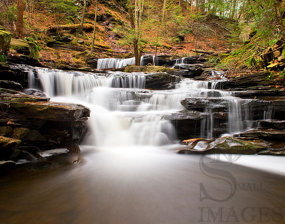 Below the Delaware Falls, Ricketts Glen