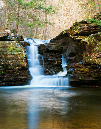 Murray Reynolds Falls, Ricketts Glen