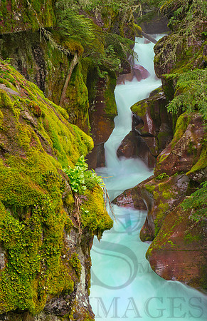 AVALANCHE GORGE, GNP