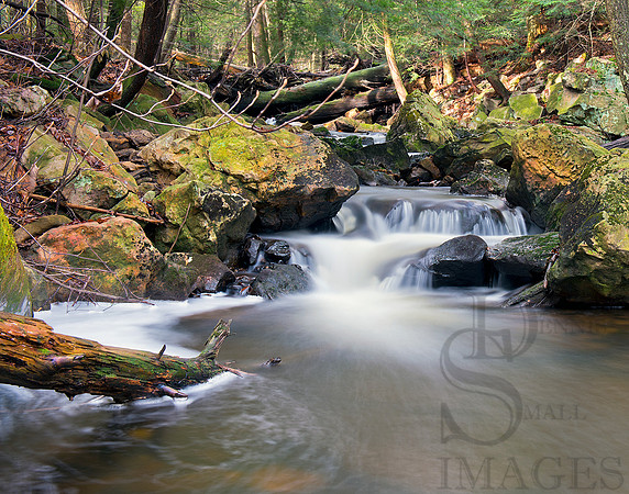 Unnamed, Ricketts Glen