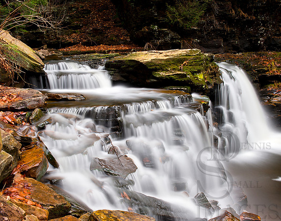 Cayuga Falls, Ricketts Glen