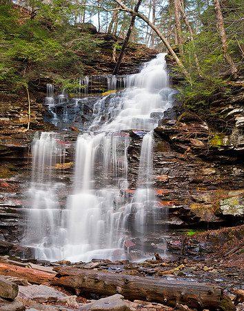 Ganoga Falls, Ricketts Glen...94 ft tall