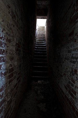 _4152671