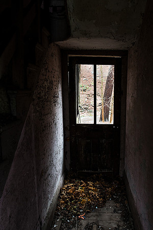 _4154971