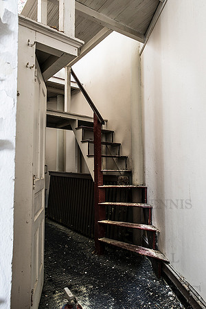 _4181619