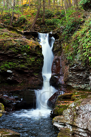 ADAMS FALLS, RICKETT GLEN