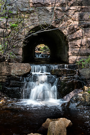 _4193708