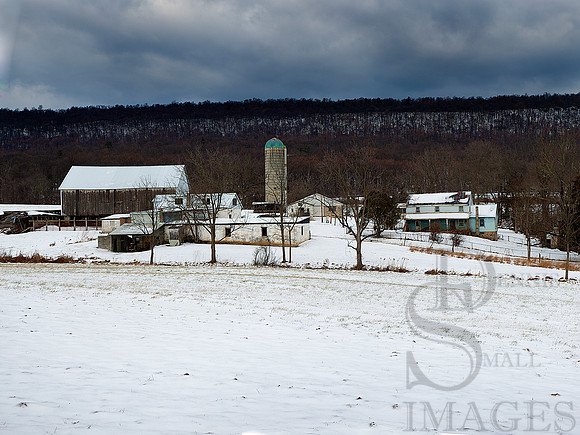 brasheare snow Panorama9x12